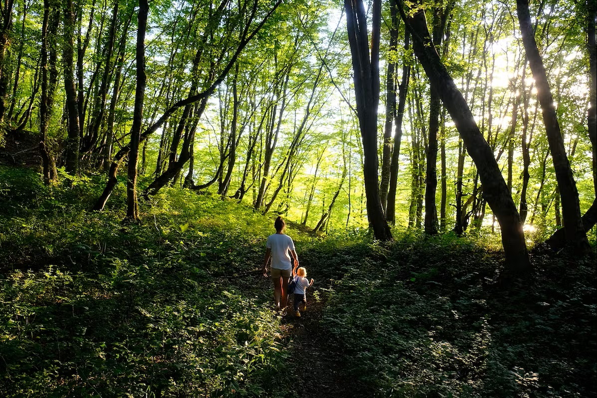 Bild Mutter und Kind gehen im Wald spazieren